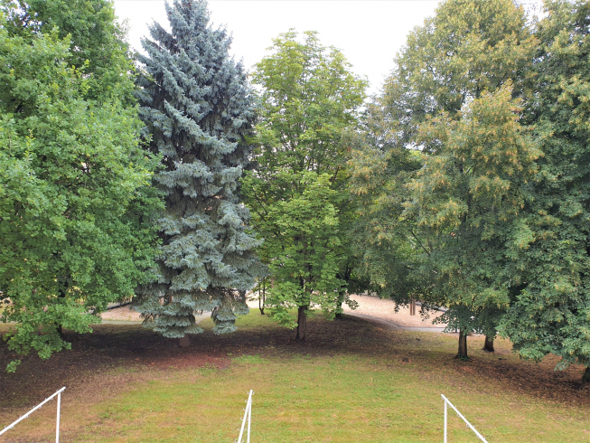 "Top-Lage, Top-Preis: Geräumige 3-Zimmer-Wohnung mit Balkon zum günstigen Mietpreis!"