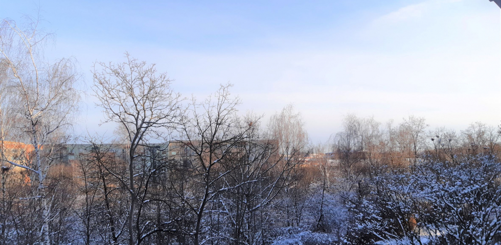 So könnte Ihre zukünftige Wohnung aussehen