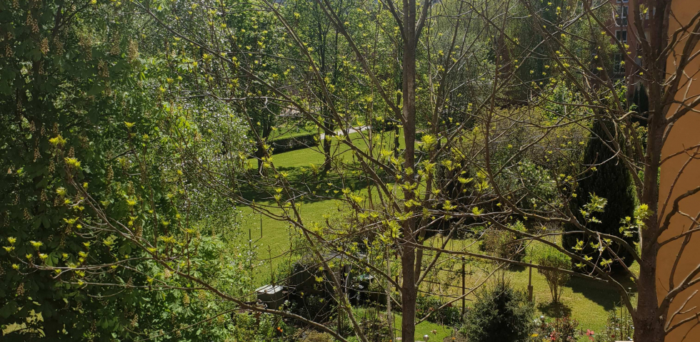 "Charmante" 1-Zimmer-Wohnung inklusive Balkon !